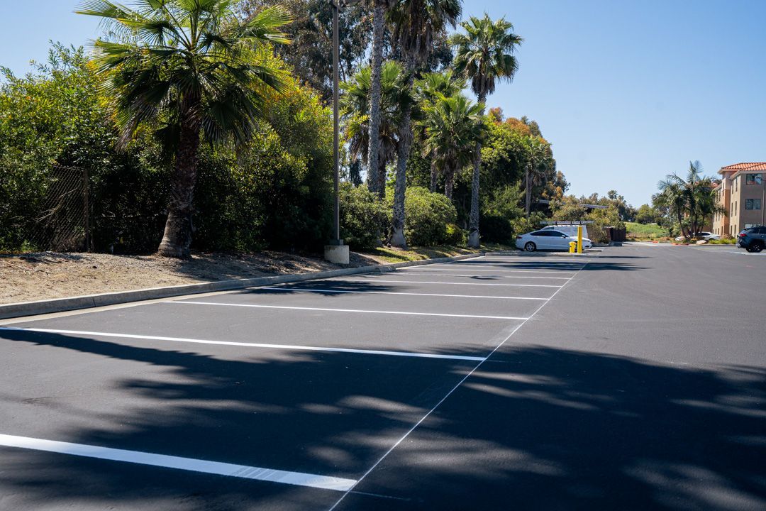 A parking lot with palm trees and a building in the background.