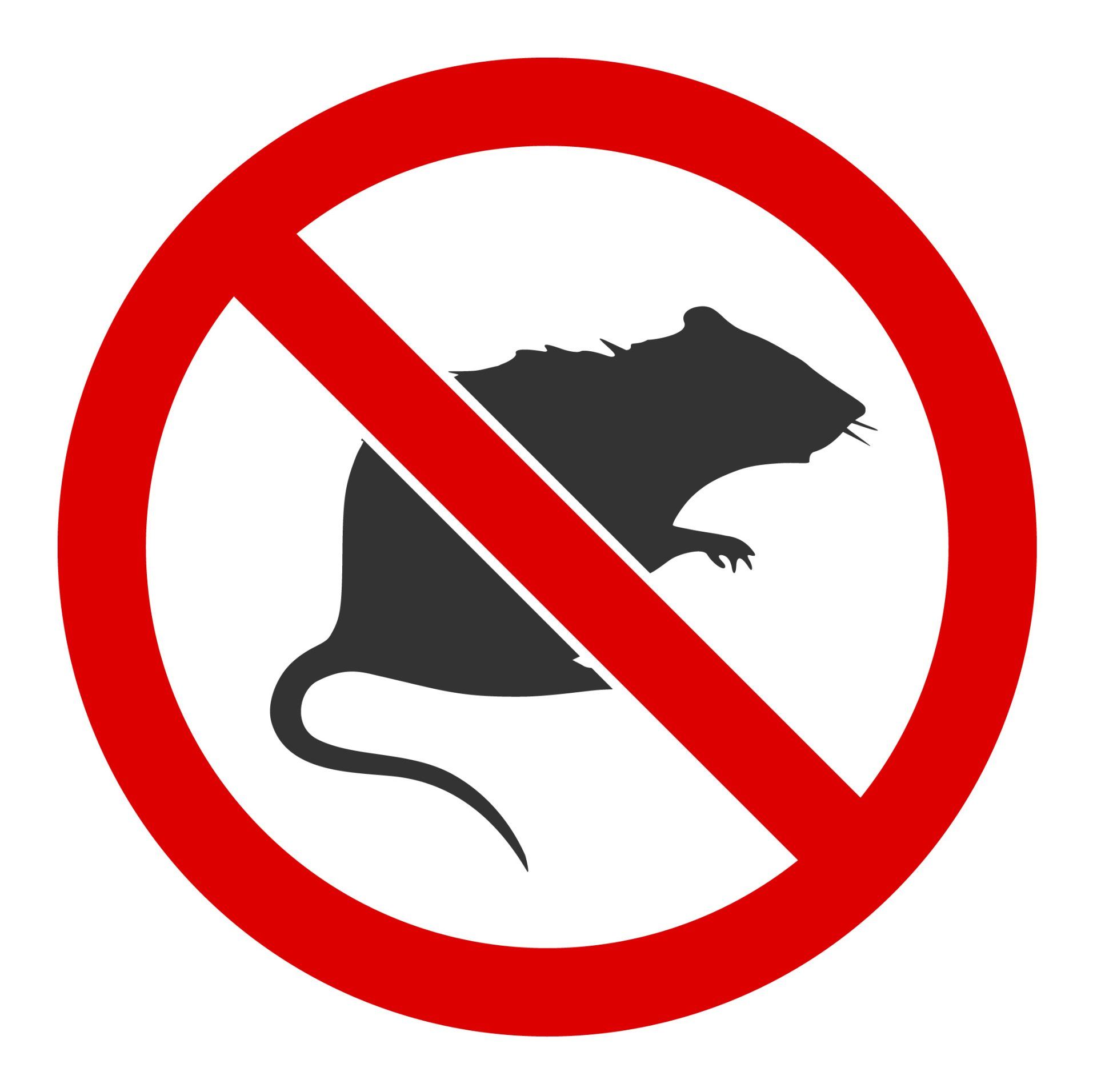 disinfestazione da roditori