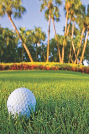 Caitlin Russell -Selling Stuart, Palm City, Jensen Beach dream homes