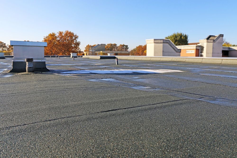 Flat, gray roof with patches of water and several white ventilation units. Background shows trees with fall foliage and other buildings.