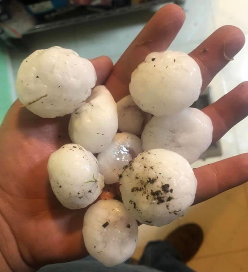 a person is holding a bunch of hail in their hand