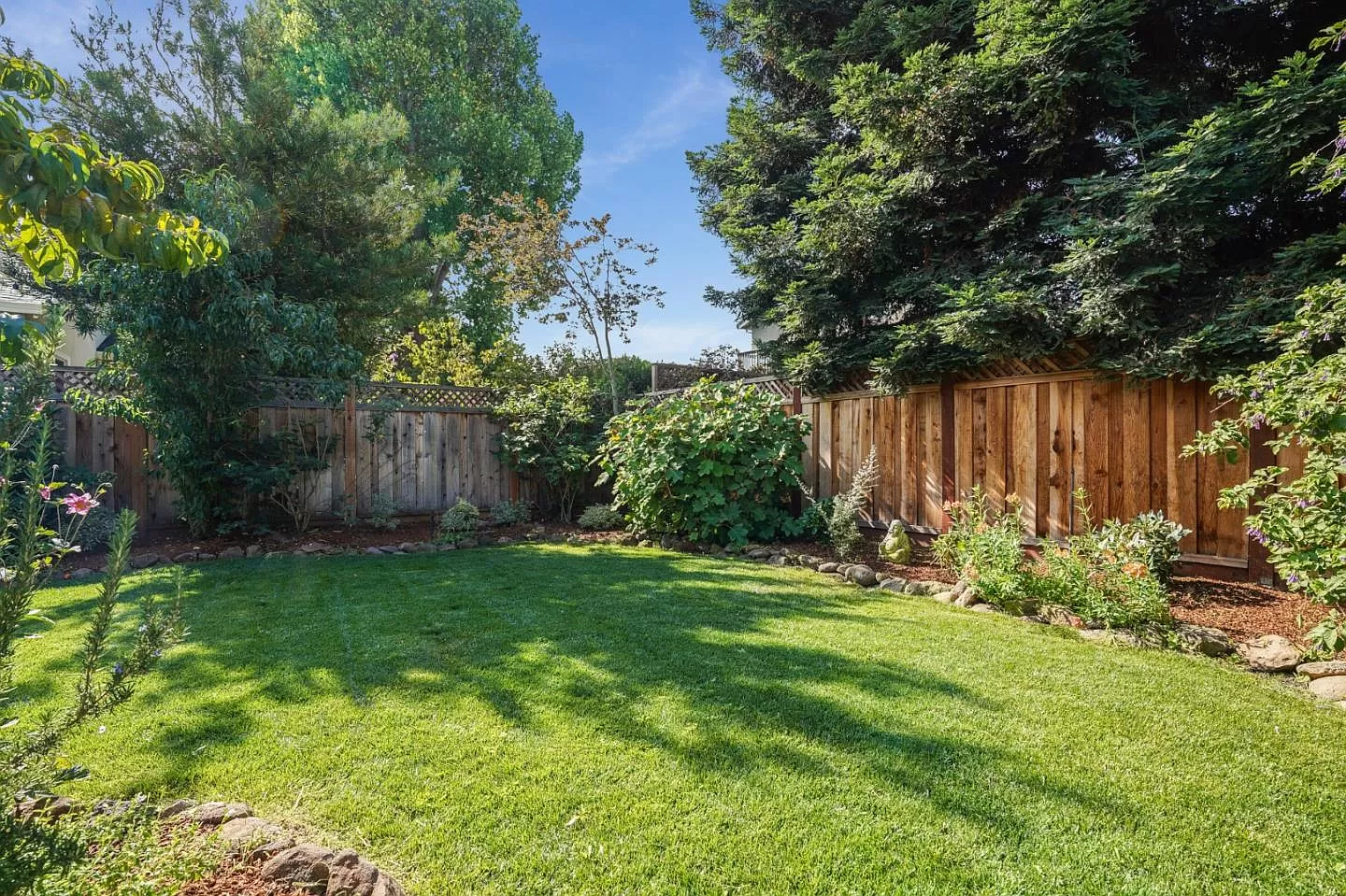 A lush green backyard with a wooden fence and trees.