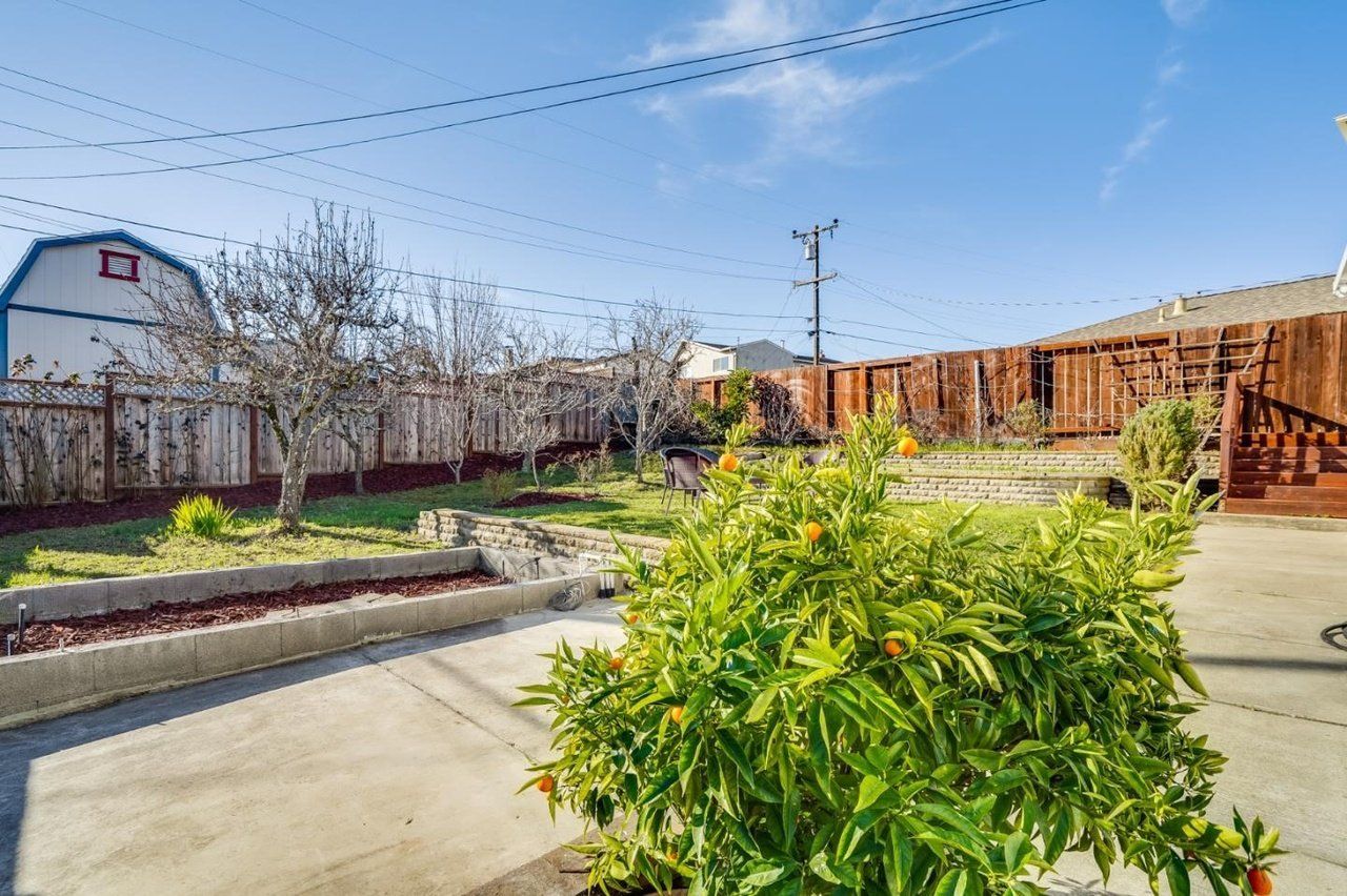 A backyard with a fence , a barn and a tree.