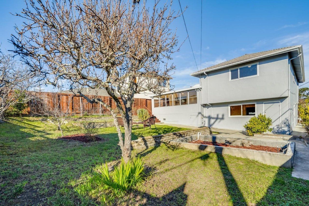 A house with a large yard and a tree in front of it.