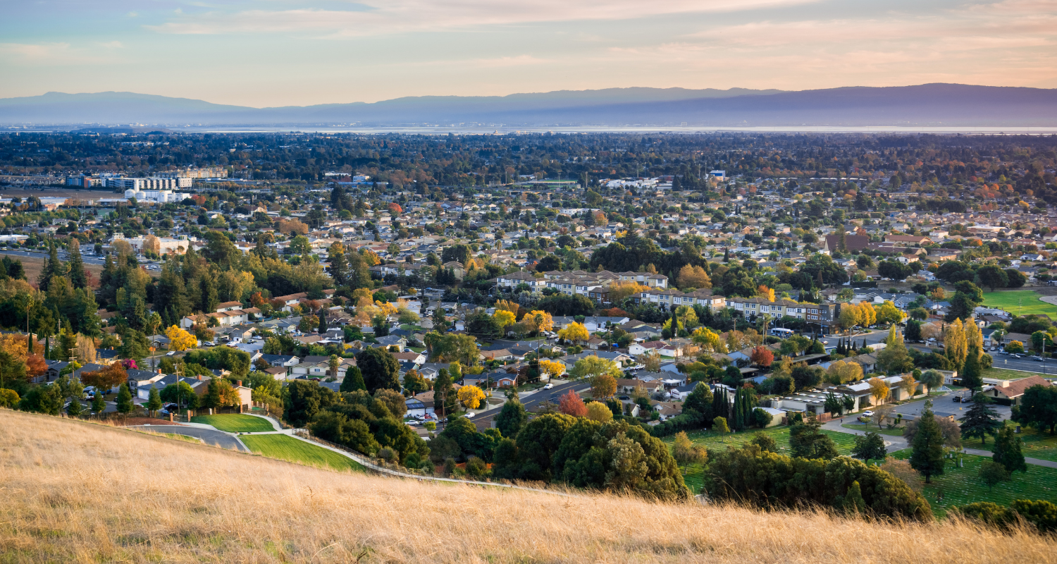 An aerial view of a city from a hill.