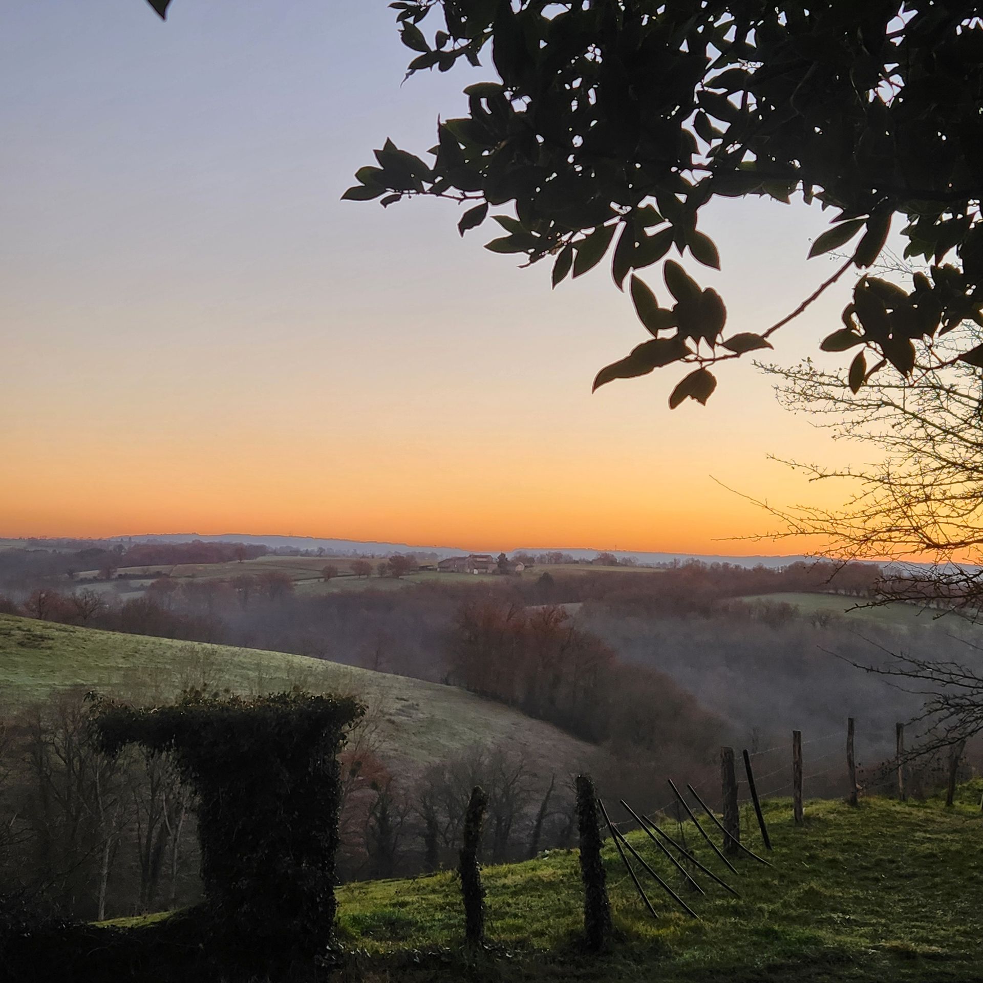Rolling green hills at dawn under a colorful sky, framed by trees and a fence.