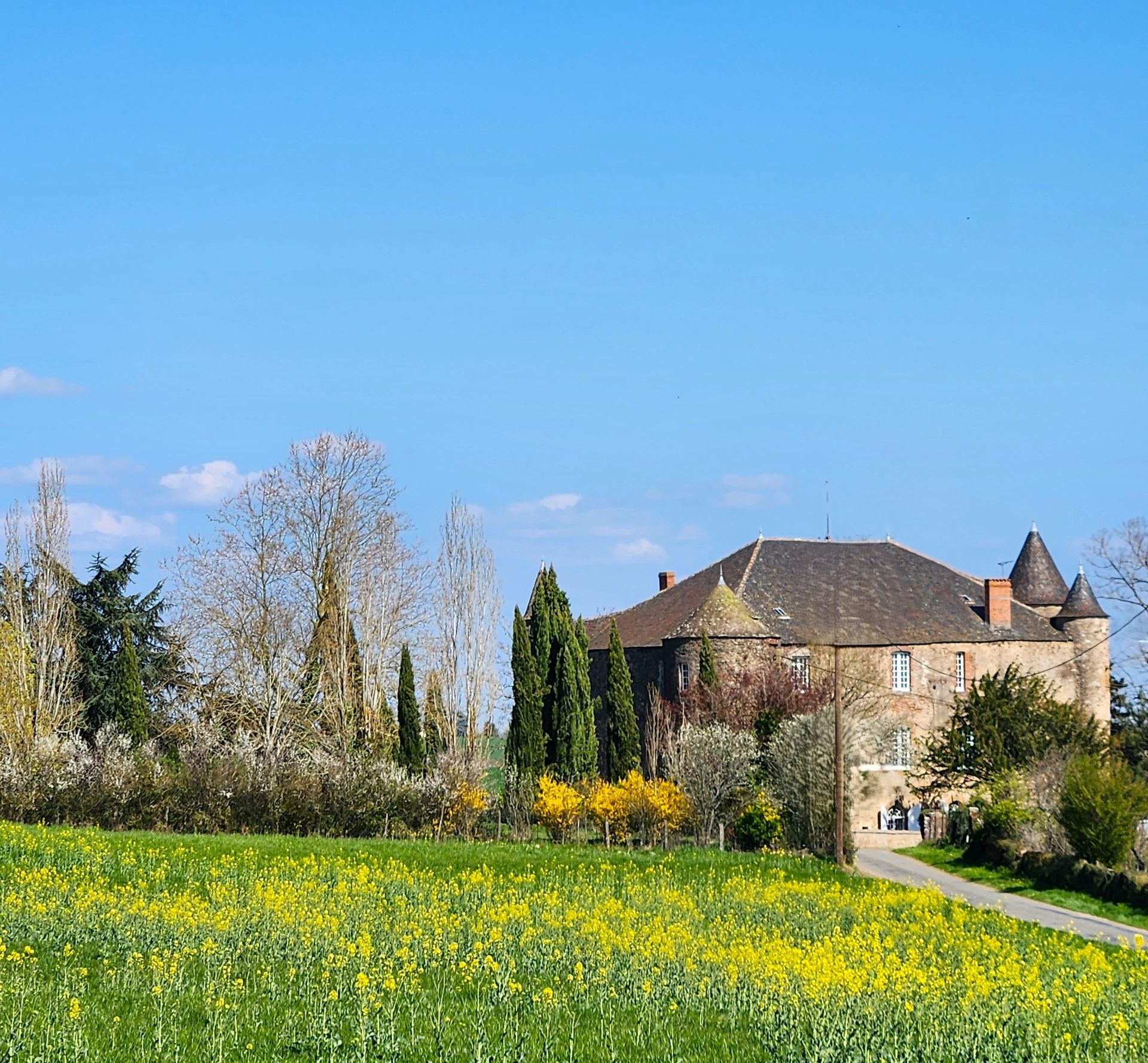 Un château de pierre à tourelles se dresse derrière un champ de fleurs sauvages d'un jaune éclatant, sous un ciel d'un bleu limpide.