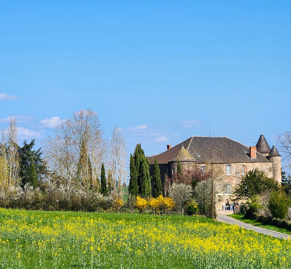Un château français en pierre, orné de tourelles, se dresse derrière un champ de fleurs jaunes sous un ciel d'un bleu limpide.