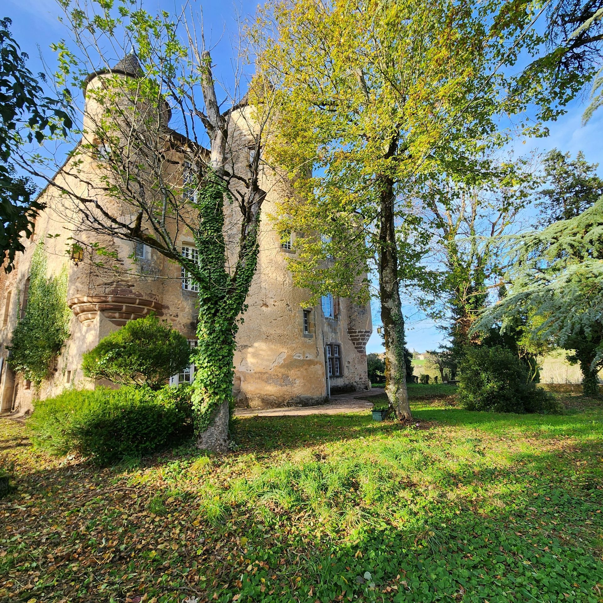 Château de pierre aux tours rondes, au milieu des arbres et de l'herbe verte.