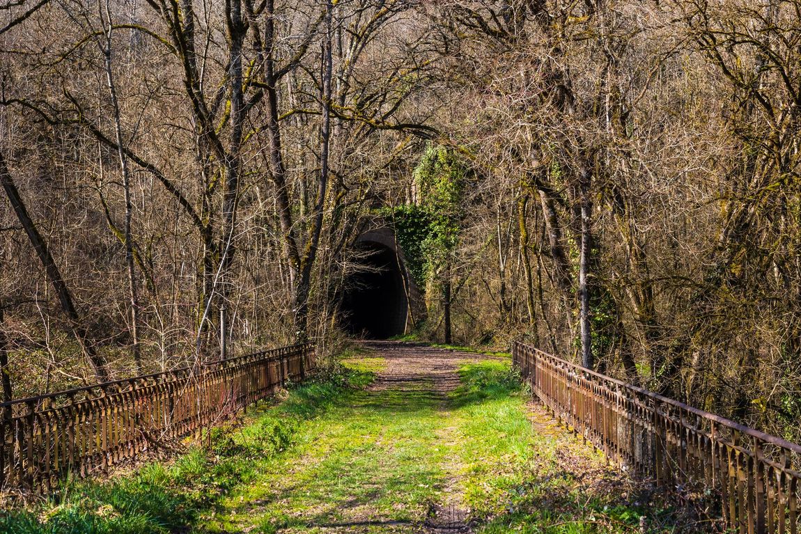 Un chemin herbeux traverse un pont métallique et mène à l'entrée sombre d'un tunnel entouré d'arbres dénudés.