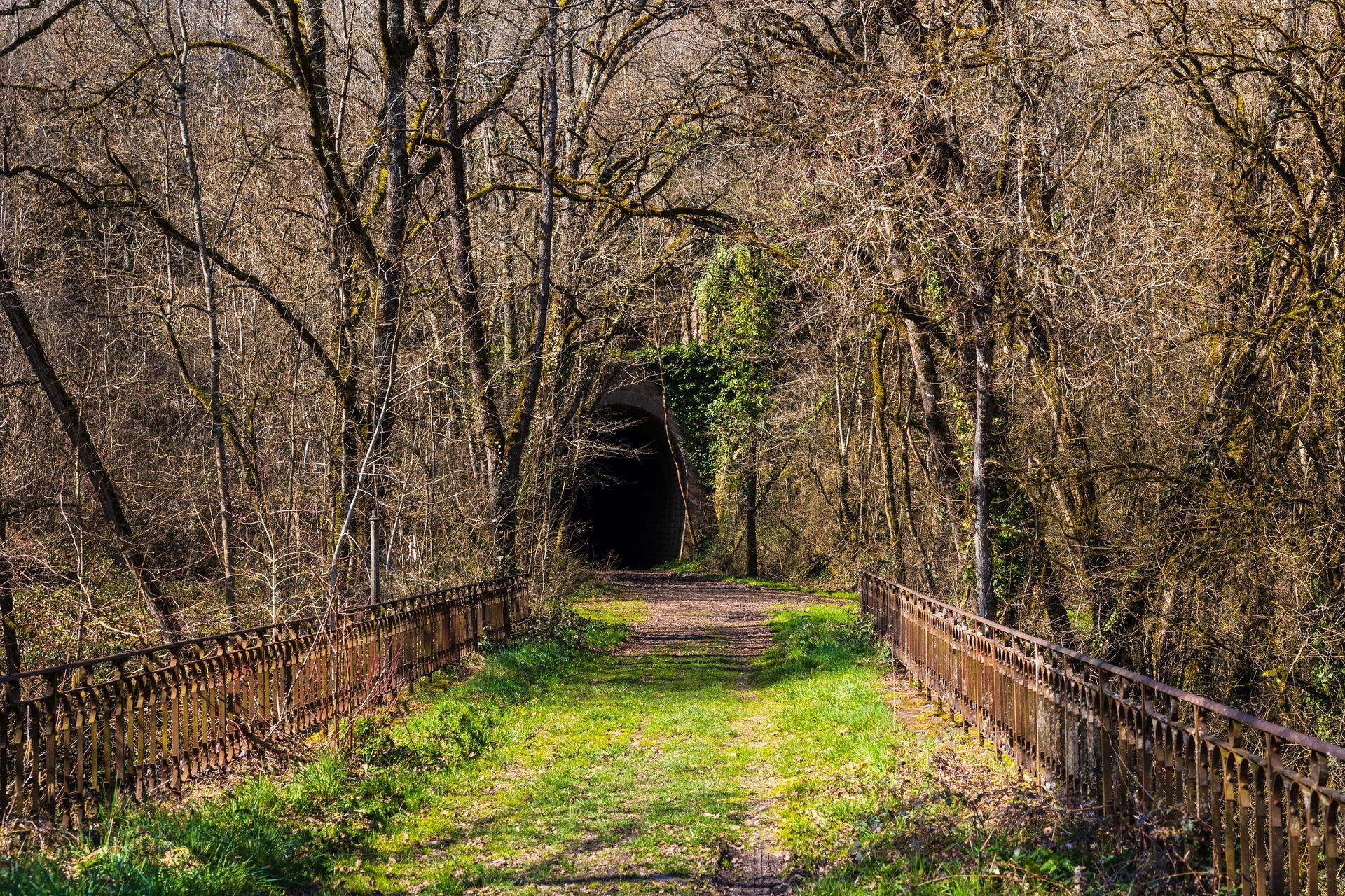 Tunnel entrance framed by trees, path with rusty railings, and green grass.