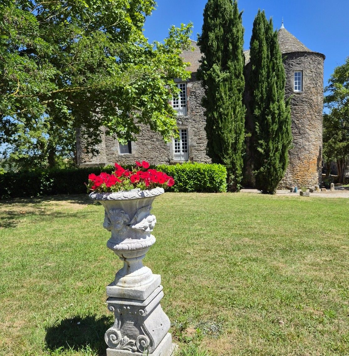 Stone castle with turrets under a cloudy sky, tall trees in the foreground.