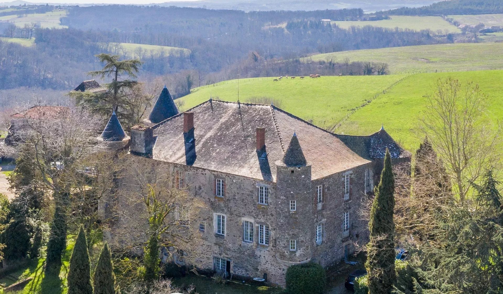 Vue aérienne d'un château en pierre aux tourelles coniques, niché dans une campagne verdoyante et luxuriante.