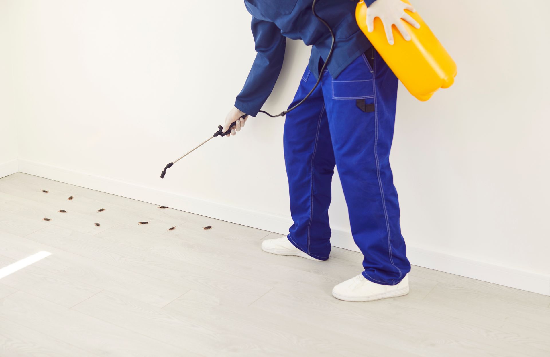 A man is spraying a room with a sprayer.