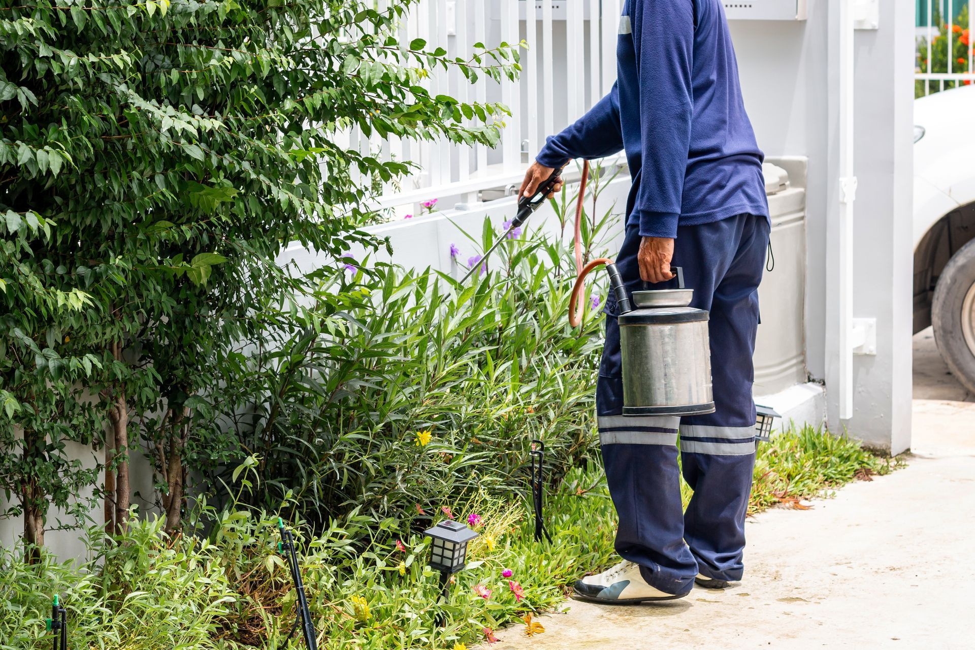 A man is spraying plants in a garden with a hose.