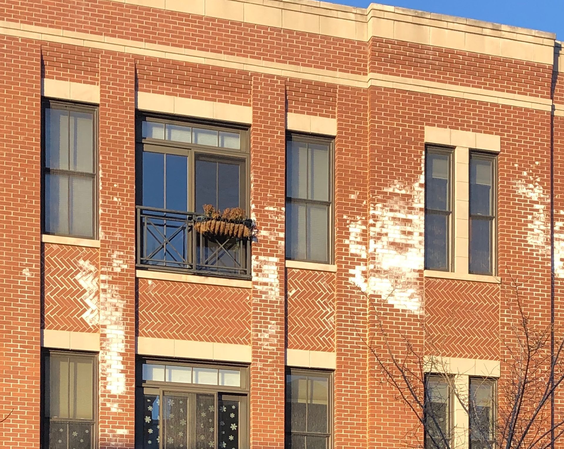 Wet brick building with brick spalling Lincoln Park, Chicago