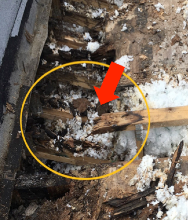 Clay Coping with failing mortar joint on bell in Edgewater, Chicago