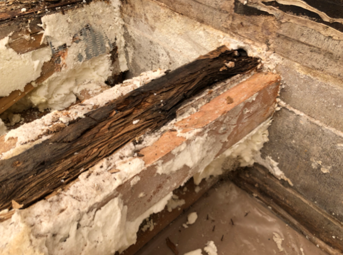Balcony parapet with missing mortar, no flashing, no drip edge in Uptown, Chicago