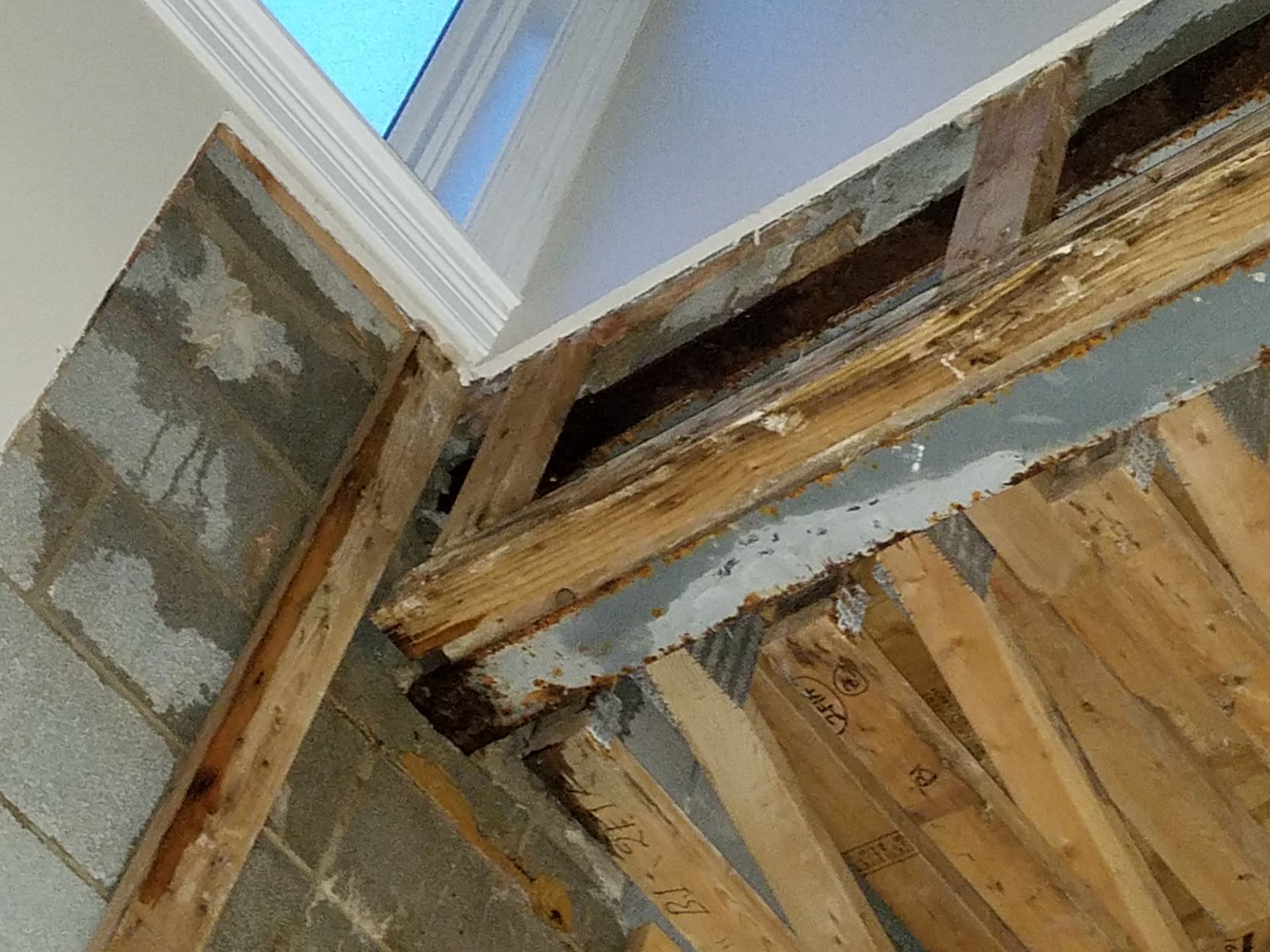 Balcony parapet with missing mortar, no flashing, no drip edge in Uptown, Chicago
