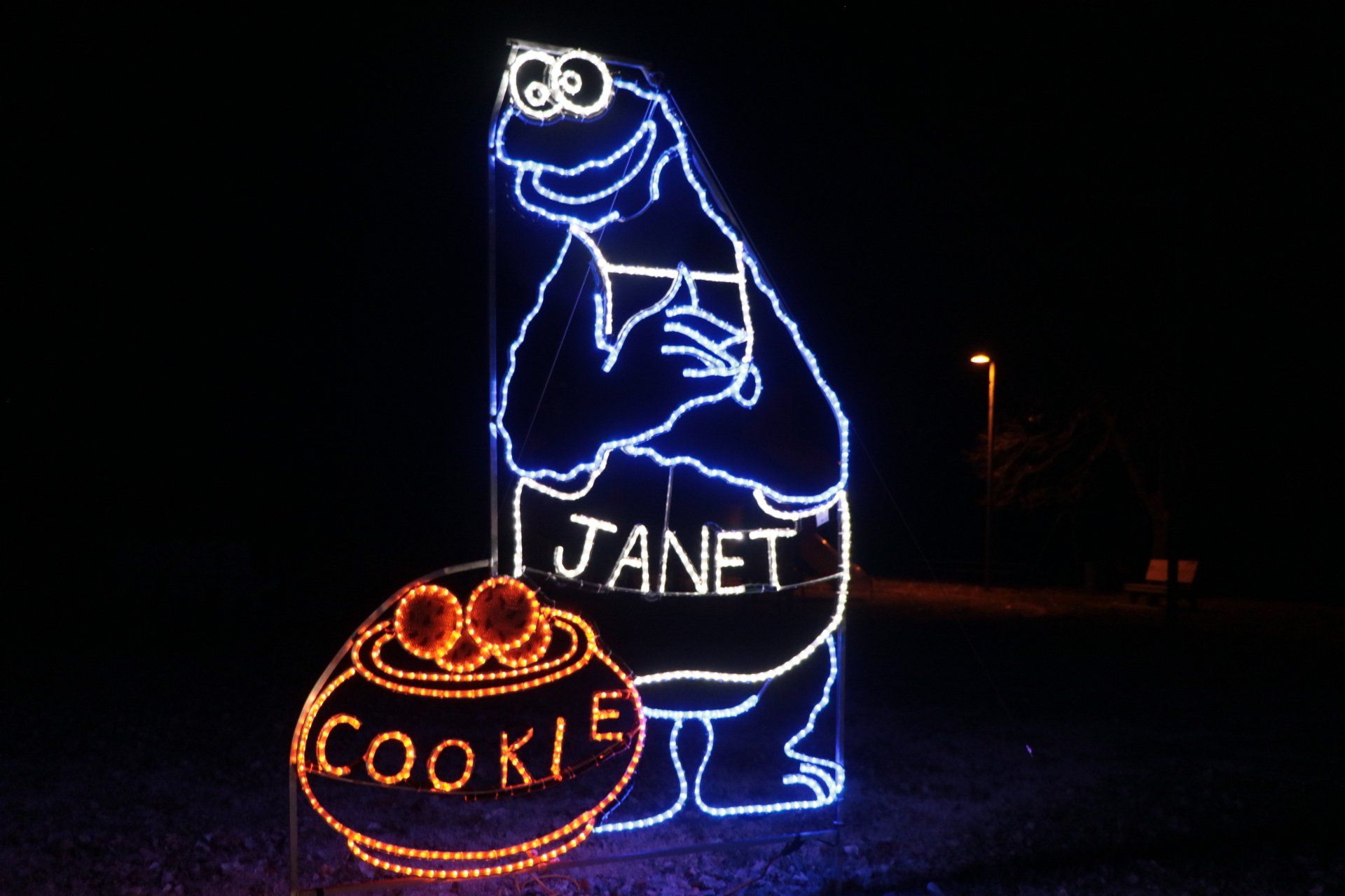 The cookie monster - Janet Specht
