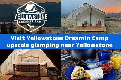 Link to Yellowstone Dreaming Camp