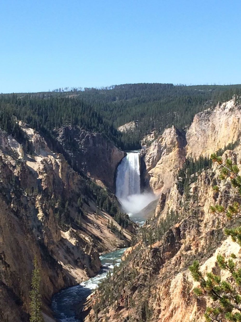 view of the lower falls of the Yellowstone river from artist point