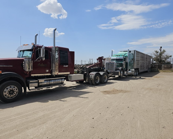 Two semi trucks are parked next to each other on a dirt road