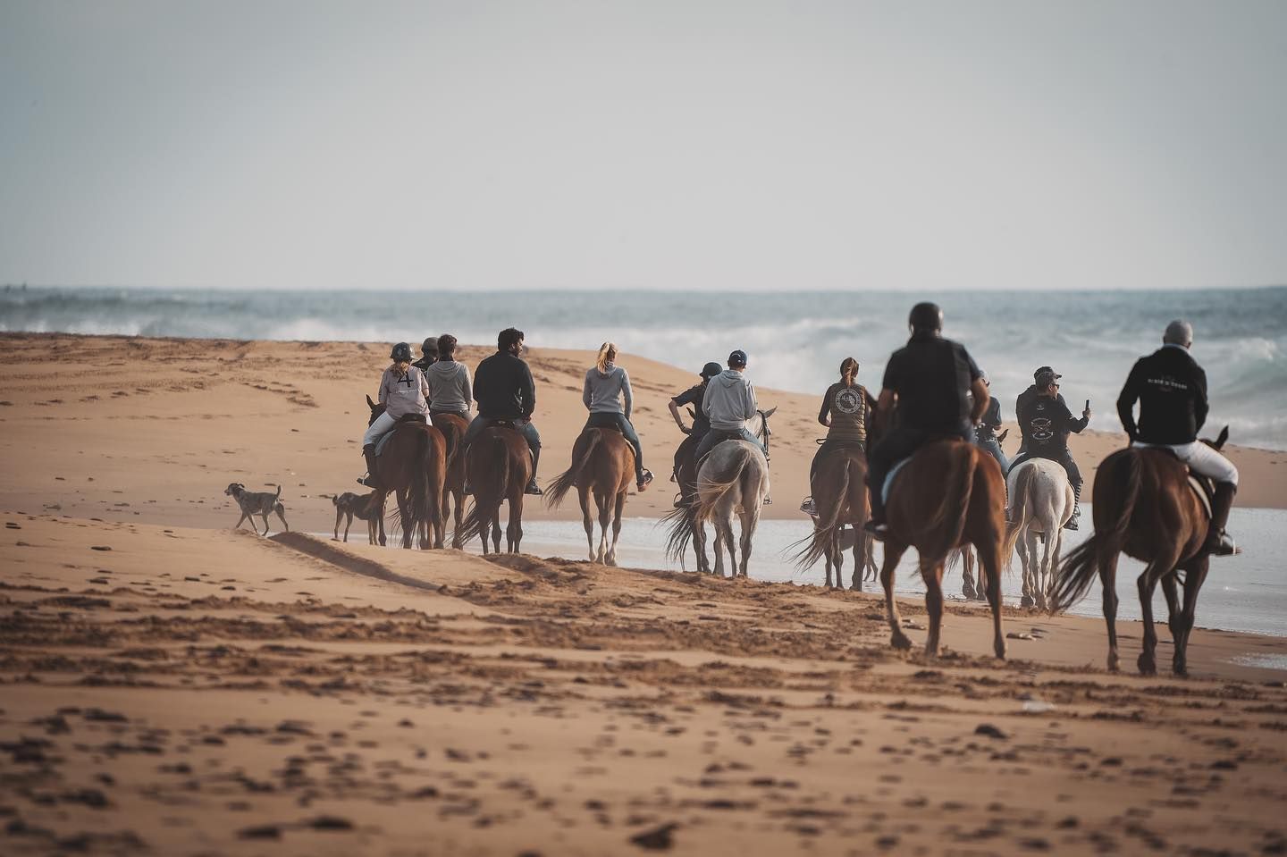 A group of people are riding horses on the beach.