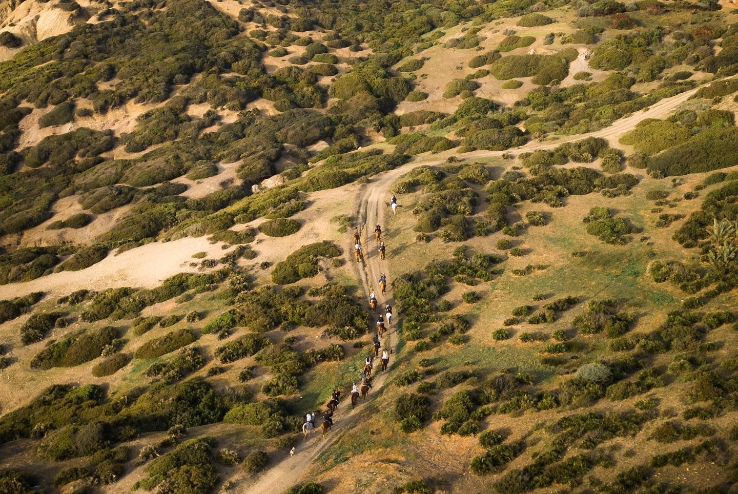 An aerial view of a group of people riding horses down a dirt road.