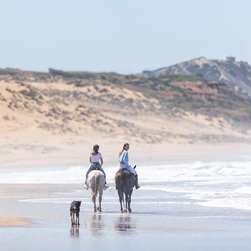 Two people are riding horses on the beach with a dog.