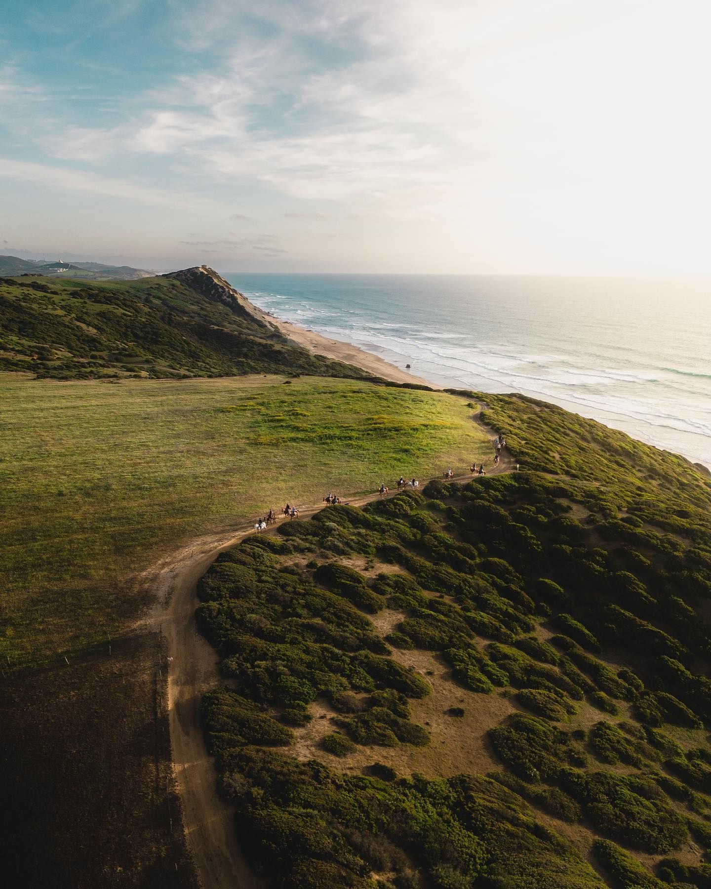 An aerial view of a path leading to the ocean.
