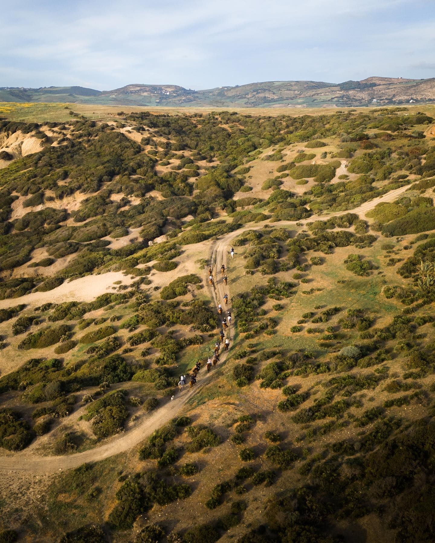 An aerial view of a group of people riding horses down a dirt road.