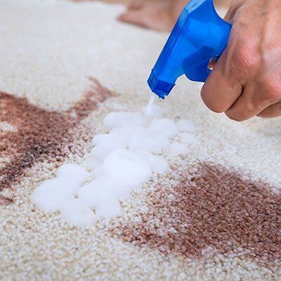 Cleaning Stain On Carpet — Rug Cleaner and Repairs in Memphis, TN