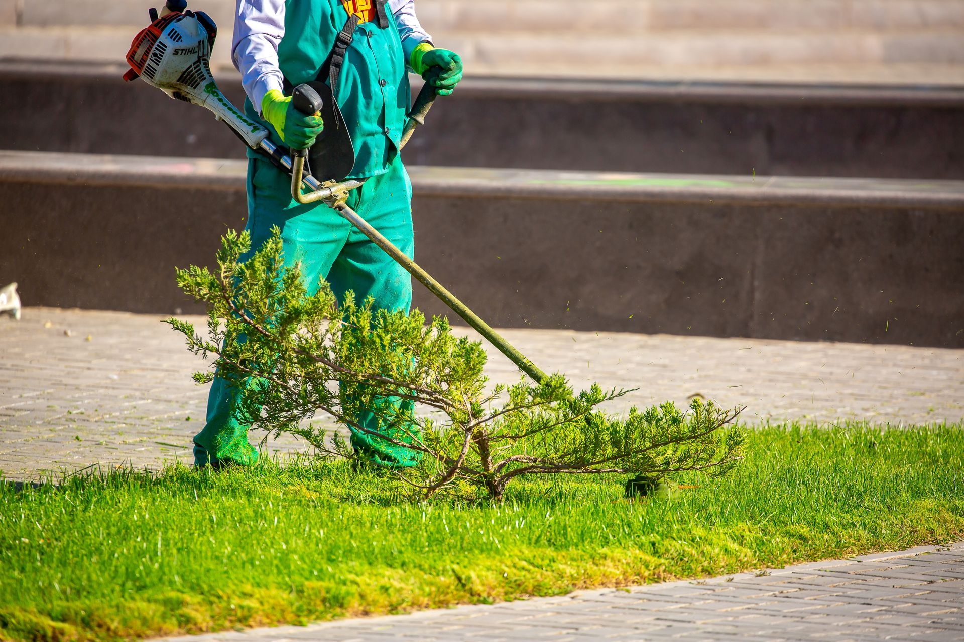 Person in green overalls using a weed wacker to trim a bush in a grassy area.