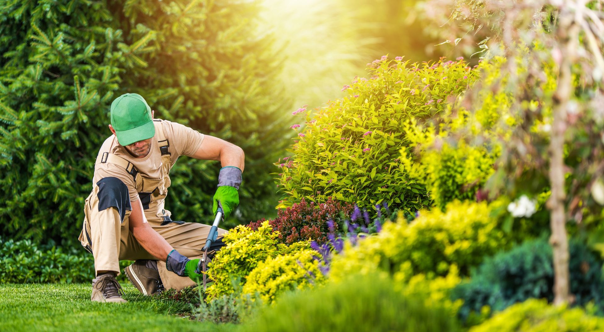 Gardener tending flower bed, wearing green hat and gloves, sunlight, outdoor.