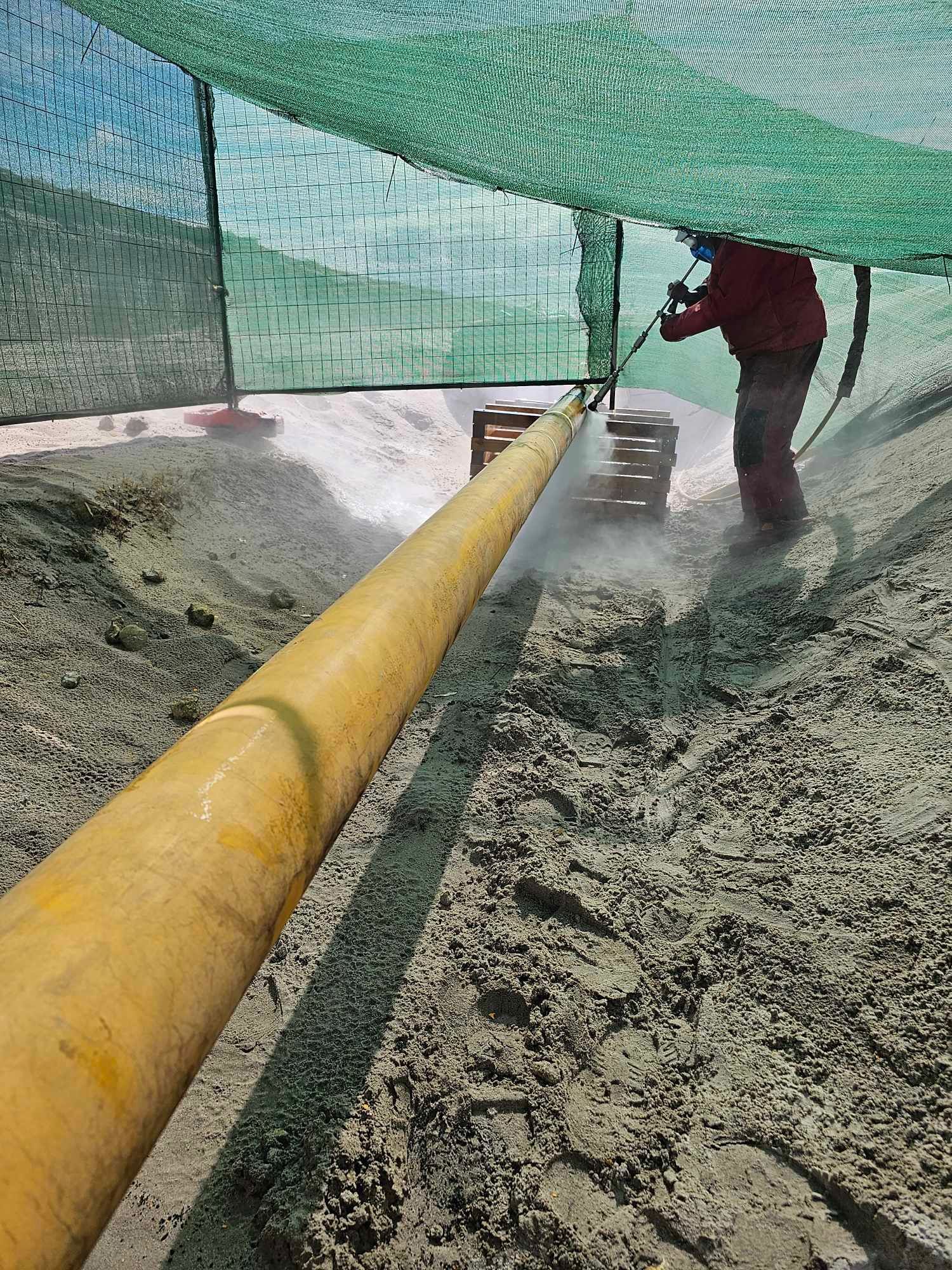 Removal of protective and surface coatings