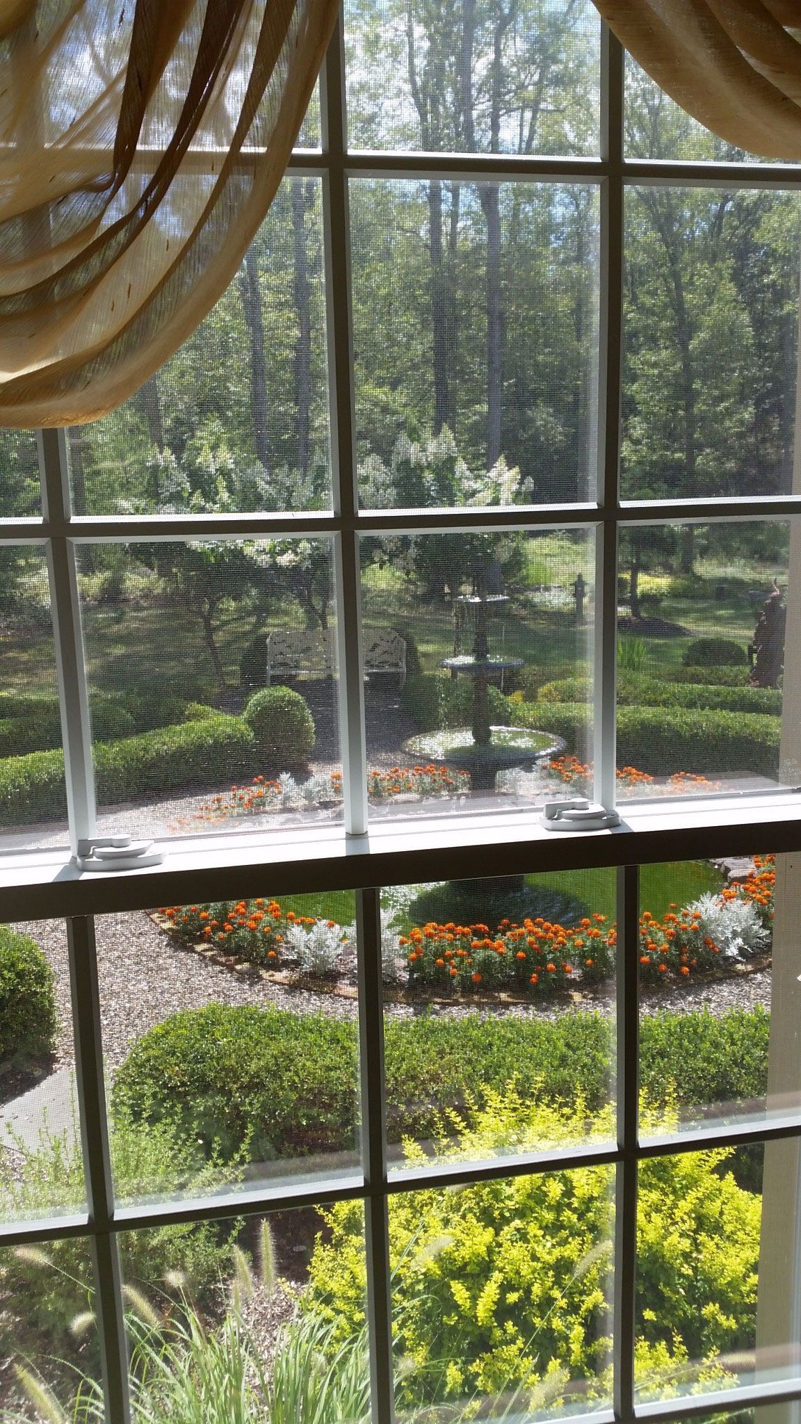 A window with a view of a garden and trees.