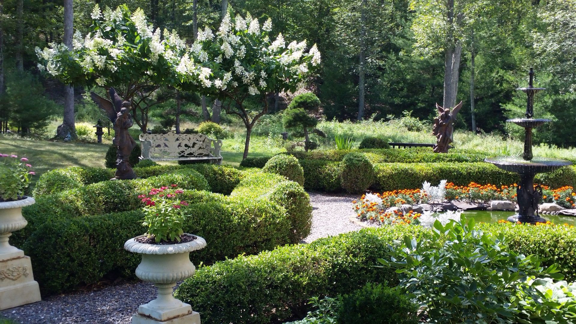 A garden with a path leading to a house surrounded by trees and bushes.