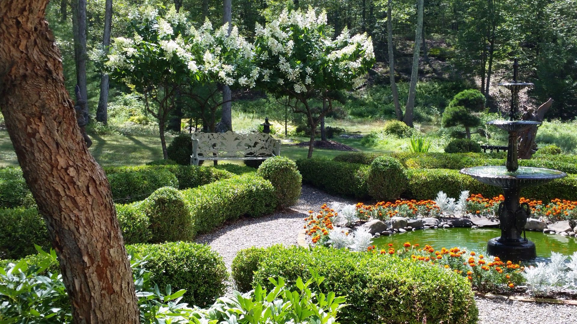A garden with a walkway surrounded by pink roses