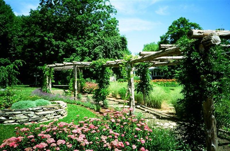 A garden with flowers and trees and a wooden pergola