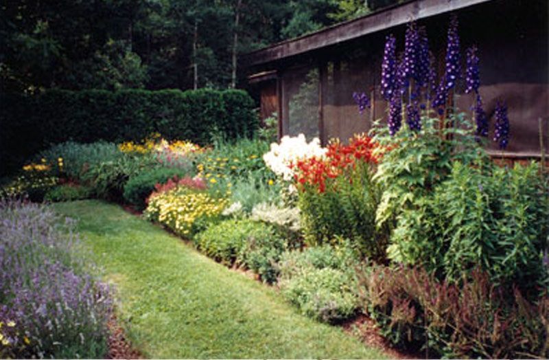 A garden with lots of flowers and plants in front of a house