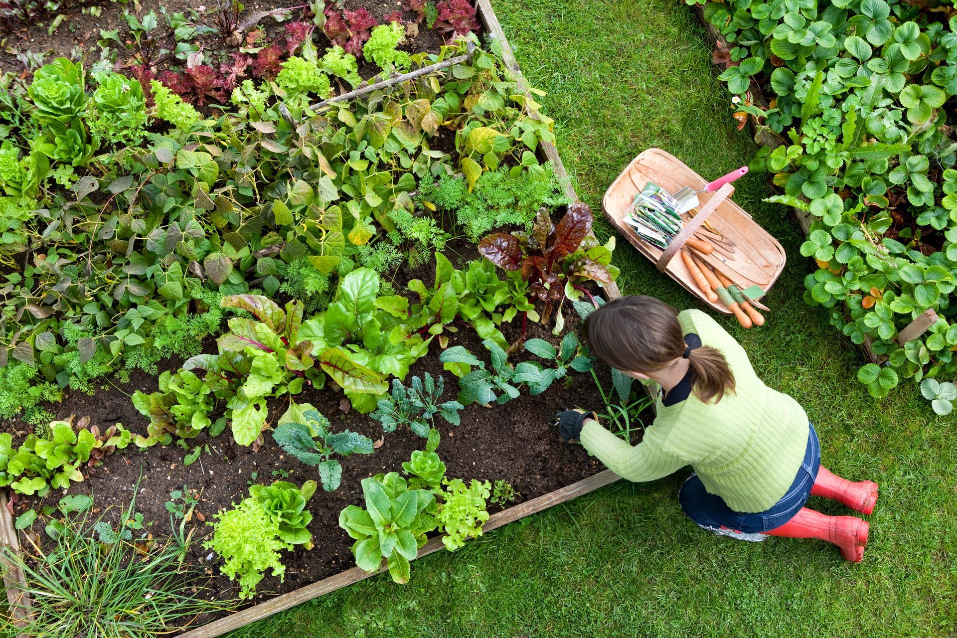 A woman is kneeling down in a garden filled with lots of vegetables.
