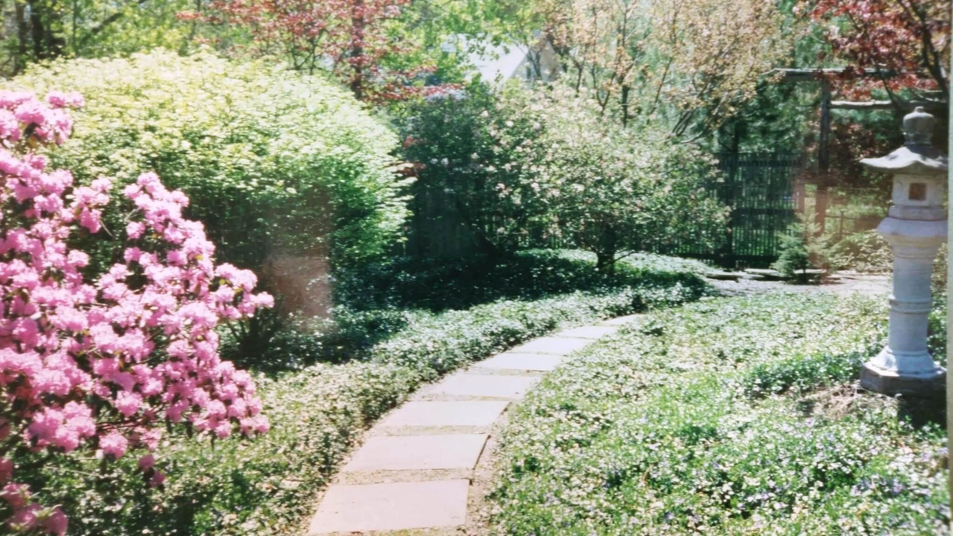 A path in a garden with pink flowers and a lantern.