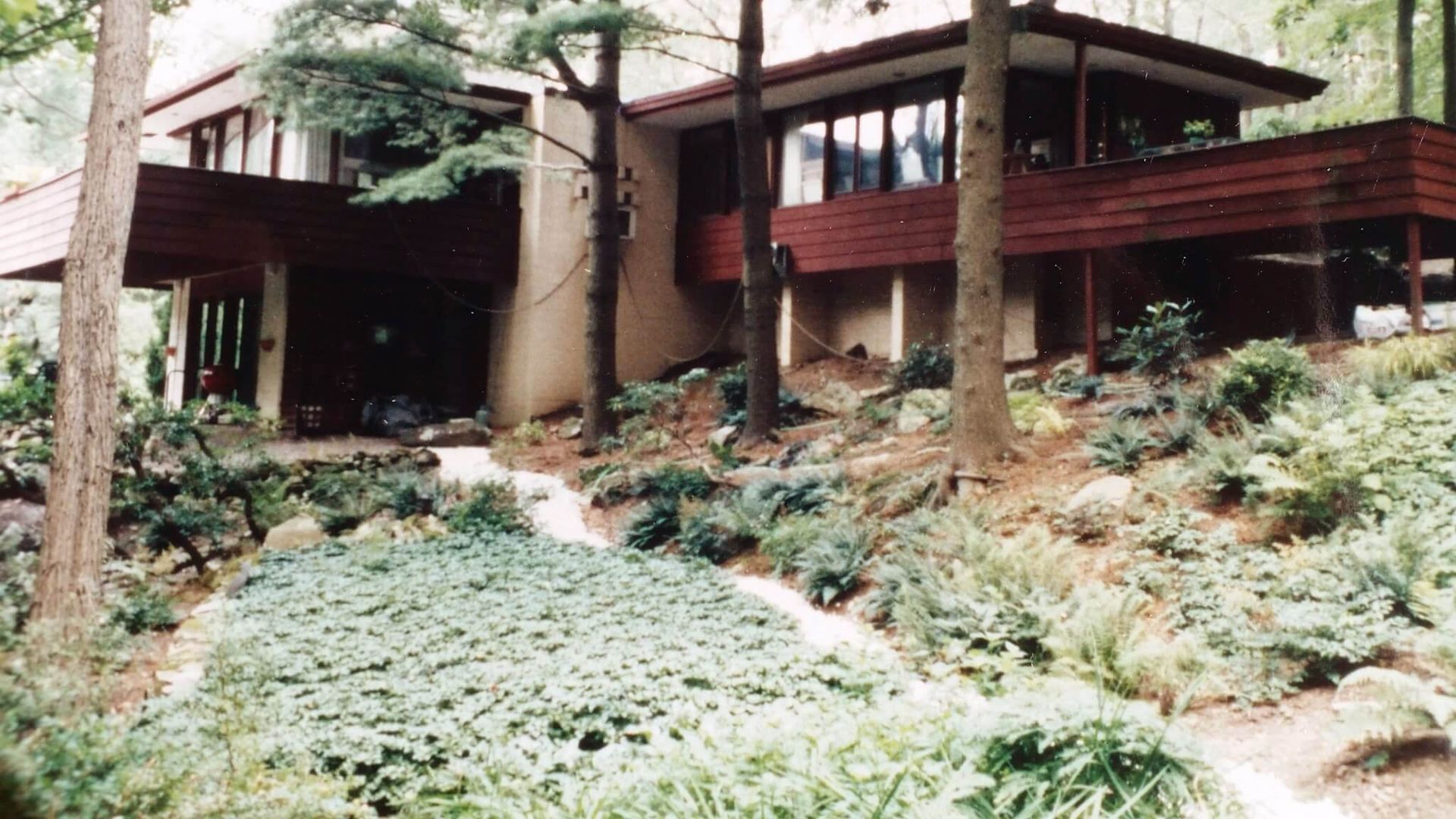 A house surrounded by trees and bushes with a path leading to it