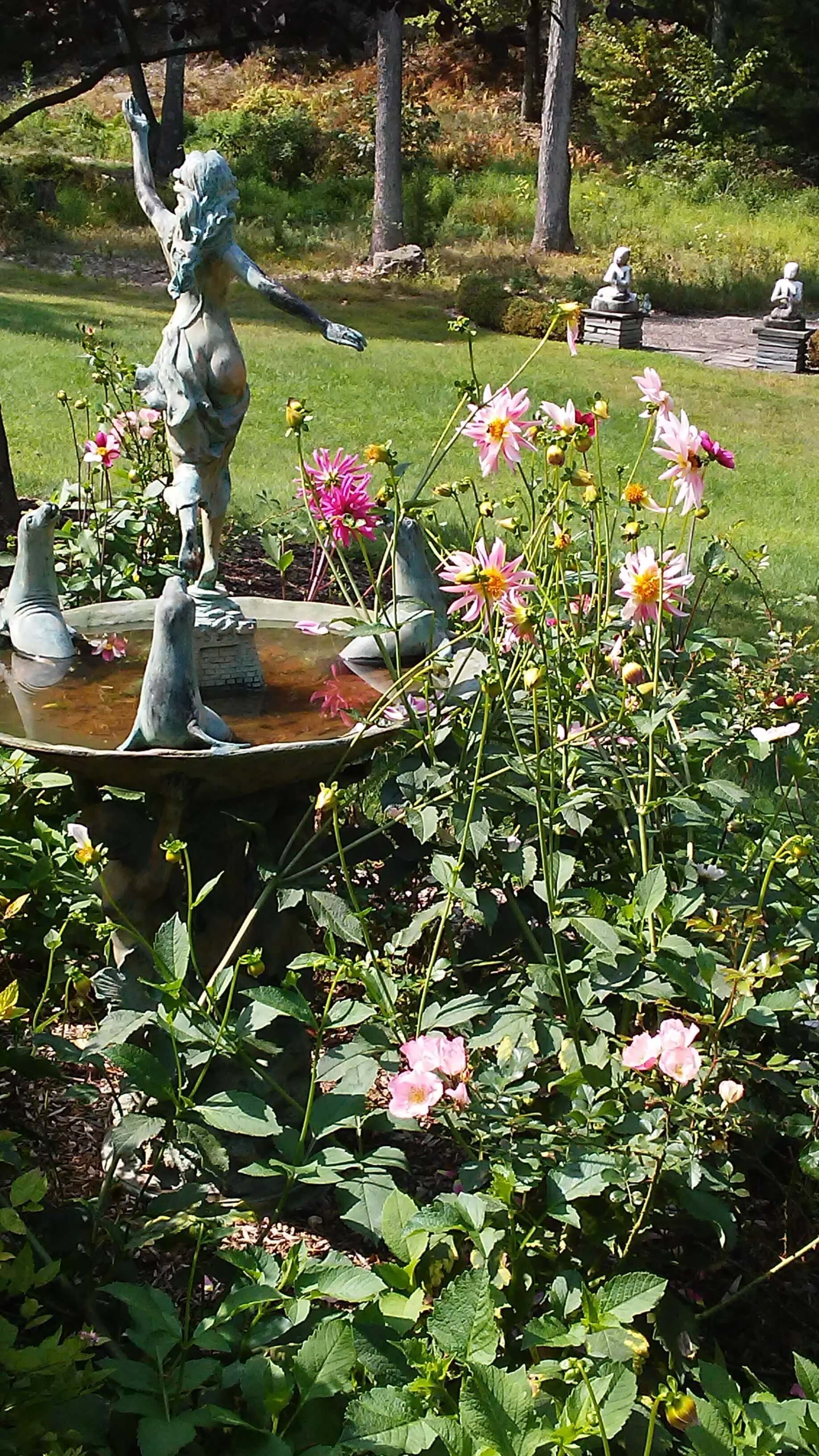 A pond with a waterfall in the middle of a garden