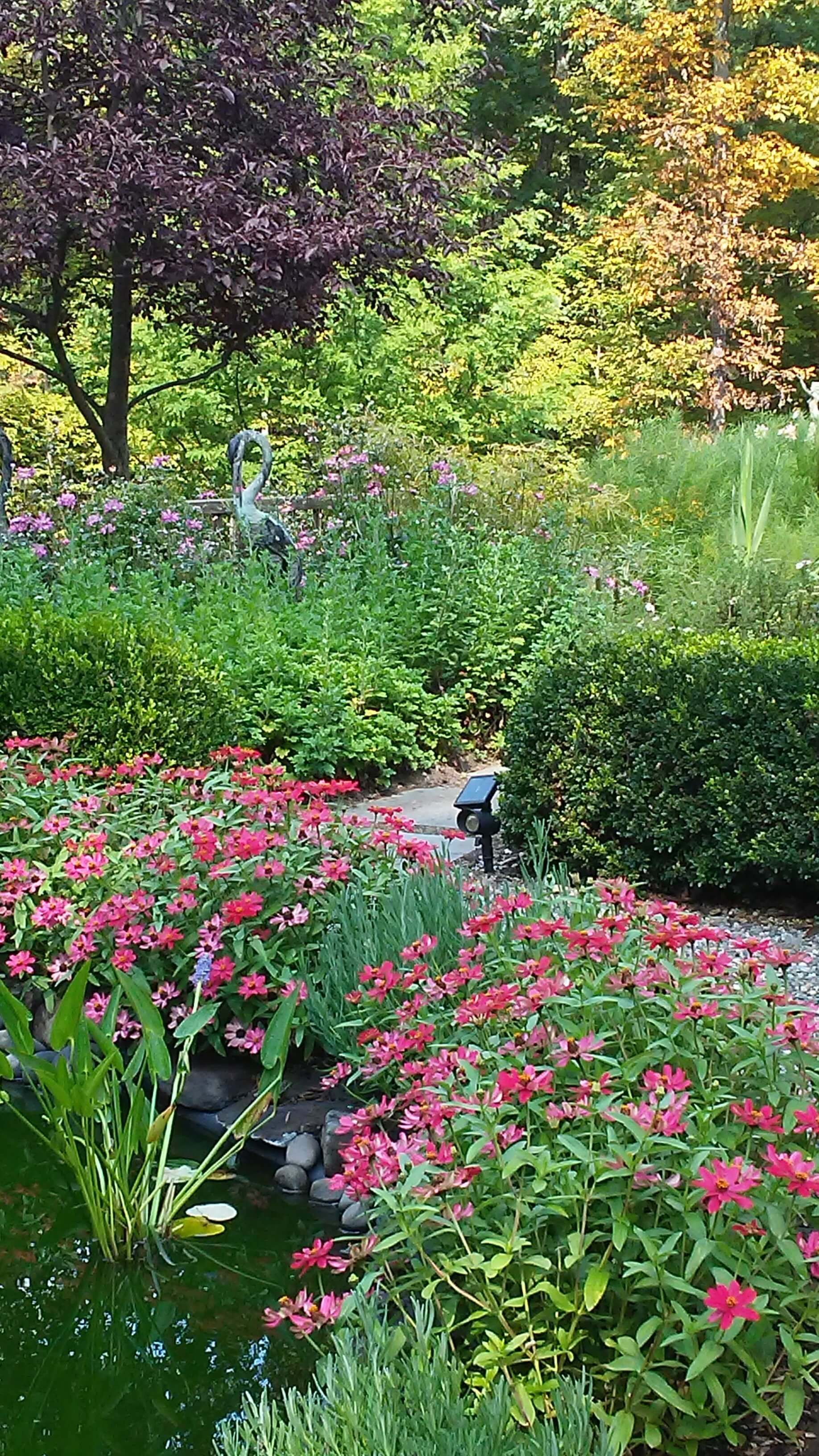 There are many different types of flowers in this garden.