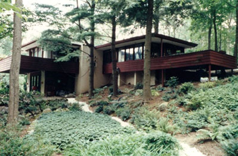 A house is surrounded by trees and bushes in the middle of a forest.