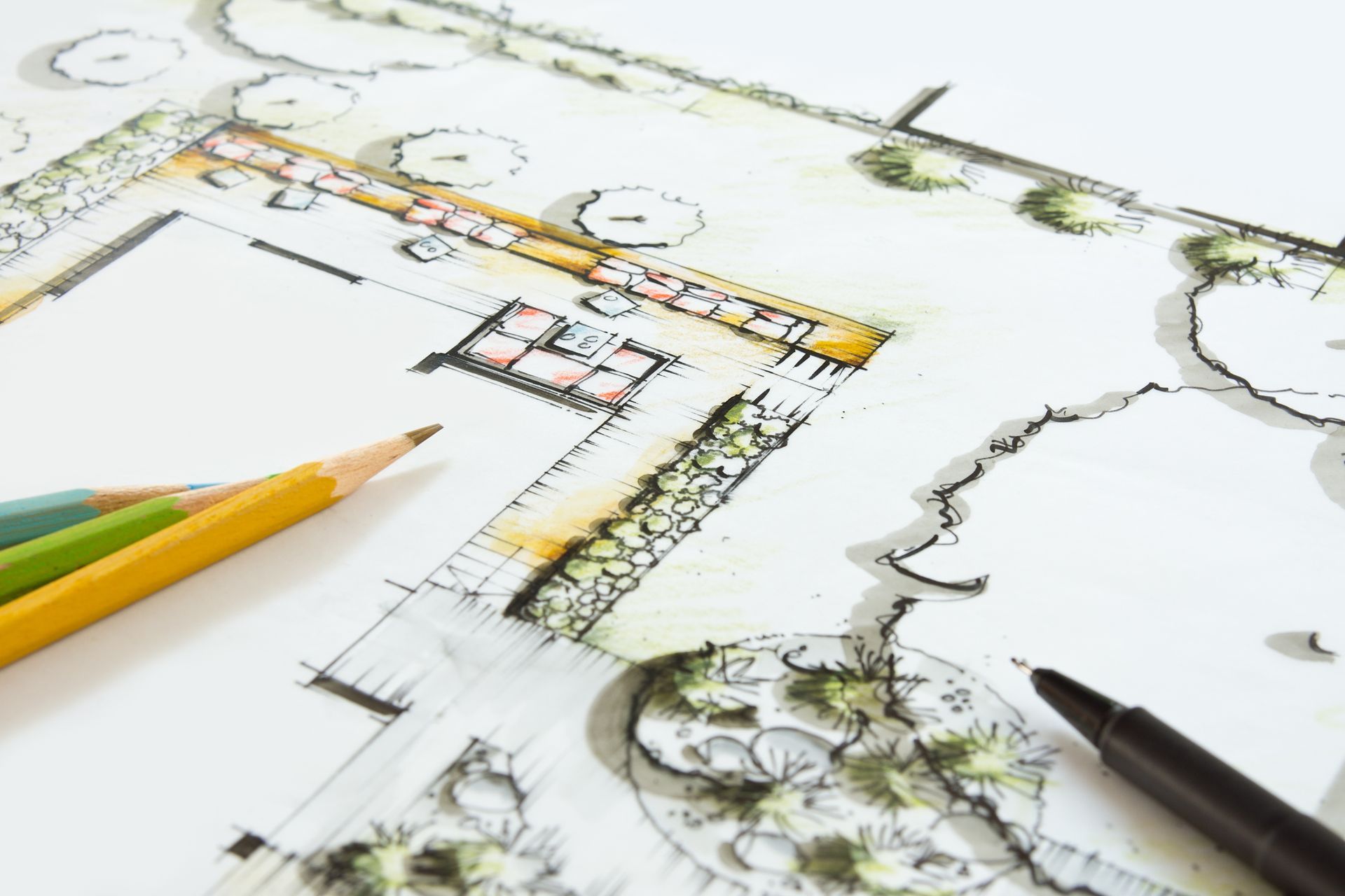 A drawing of a garden with pencils and a pen.