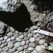 A shovel is sitting on top of a pile of rocks.
