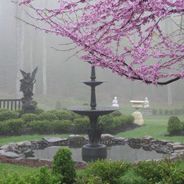 A bird bath is surrounded by purple flowers in a garden.